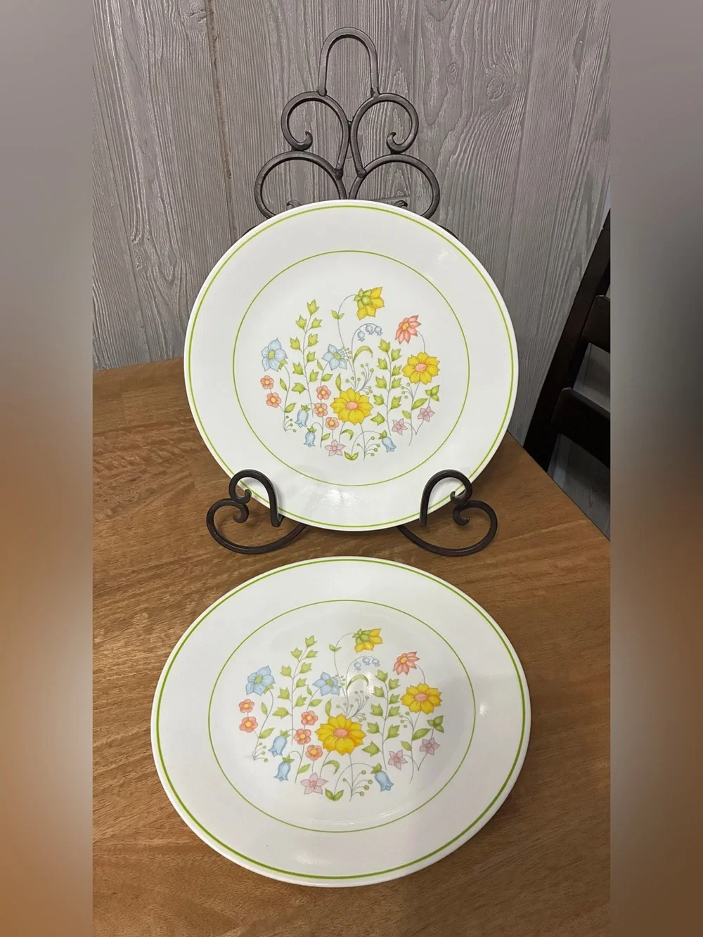 Pair of Corelle by Corning Meadow (2) Dinner Plates 10-1/4